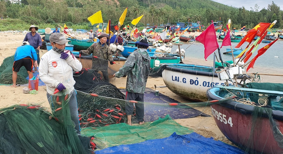 Độc đáo nghề săn tôm hùm giống hốt bạc triệu - 2 Độc đáo nghề săn tôm hùm giống hốt bạc triệu - 2
