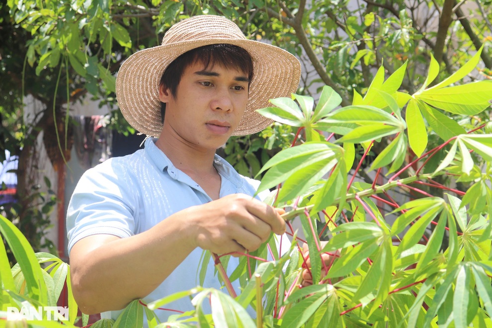 Chàng thanh niên Jrai thành công với nghề nuôi dế ở xã nghèo - 4 Chàng thanh niên Jrai thành công với nghề nuôi dế ở xã nghèo - 4