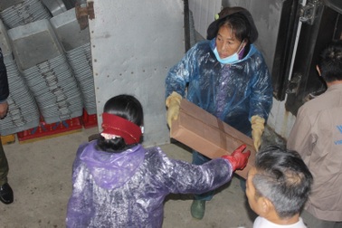 Hà Tĩnh bắt đầu tiêu hủy gần 300 tấn hải sản nhiễm độc