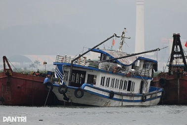 Nỗi đau từ biển