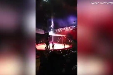 Diễn viên xiếc bị gãy chân sau đường bay chệch lưới an toàn