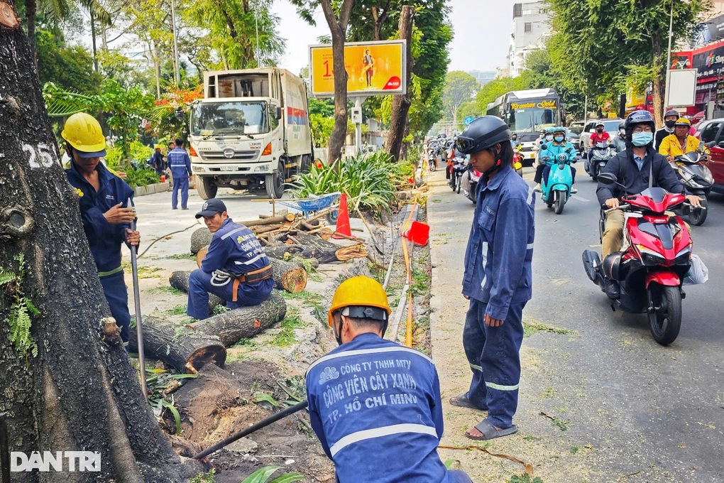 Tạm dừng đào đường tại TPHCM dịp đại lễ 30/4 - 1 Tạm dừng đào đường tại TPHCM dịp đại lễ 30/4 - 1