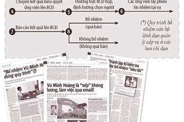 Quy trình bổ nhiệm vụ phó phải thế nào?