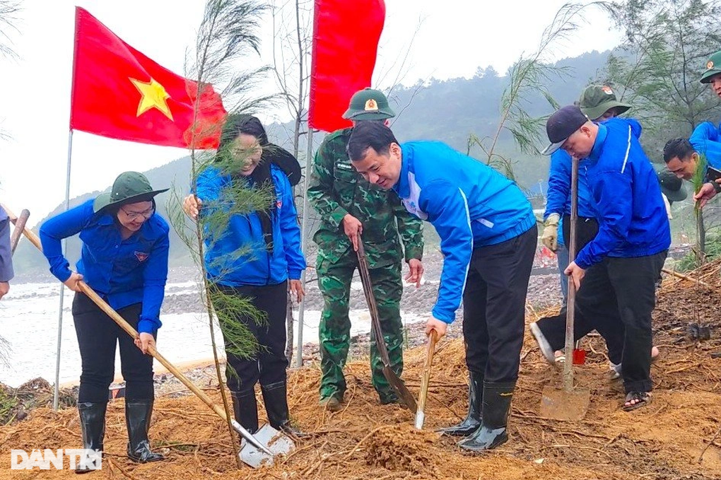 Trồng hơn 10.000 cây phi lao trên rừng phòng hộ ven biển Nghệ An - 2 Trồng hơn 10.000 cây phi lao trên rừng phòng hộ ven biển Nghệ An - 2
