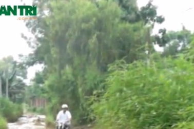 Uống nước bẩn, ngửi mùi hôi vì những cơ sở chế biến mì