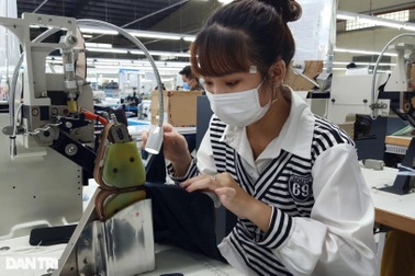 Chi hơn 240 tỷ đồng nhằm giải quyết việc làm cho 94.000 lao động