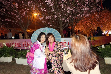Tưng bừng Lễ hội Hoa Anh Đào - Mai Vàng Yên Tử