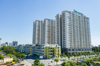 Sức hút của bất động sản thời dịch