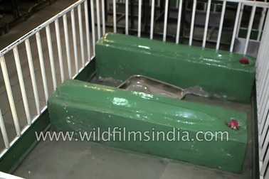 "Rợn người" cảnh ăn uống bên cạnh những nấm mồ người chết