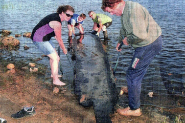 Trốn học đi bơi hồ, bé trai 12 tuổi tìm thấy thuyền cổ 4000 năm