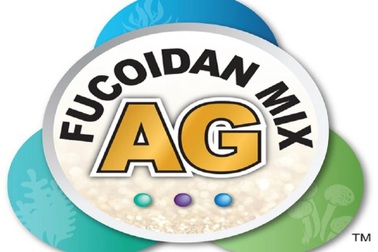 Fucoidan Umi No Shizuku - thực phẩm bảo vệ sức khỏe uy tín