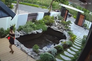 Một giây lơ đễnh suýt giết chết đàn cá koi đắt giá