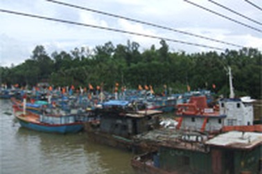 Dây điện “cản” tàu thuyền vào cảng trú bão