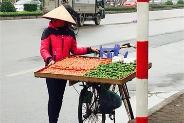 Mận chát đầu mùa: Chị hàng rong ngày thu chục triệu