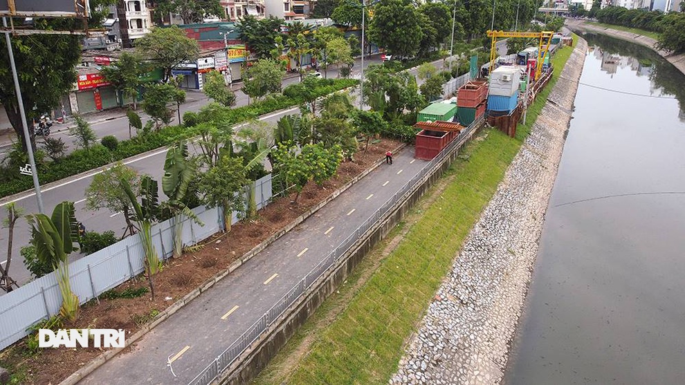 Đánh chuyển hơn 700 cây xanh dọc sông Tô Lịch để làm dự án thoát nước thải - 2 Đánh chuyển hơn 700 cây xanh dọc sông Tô Lịch để làm dự án thoát nước thải - 2