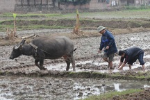 Năng suất lao động thấp: Đừng chỉ biết chê!