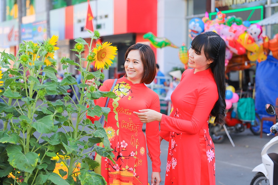 Ngắm hoa mùa xuân - 1 Ngắm hoa mùa xuân - 1