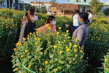 Người dân chung tay "giải cứu" 400 chậu hoa bị chặt phá