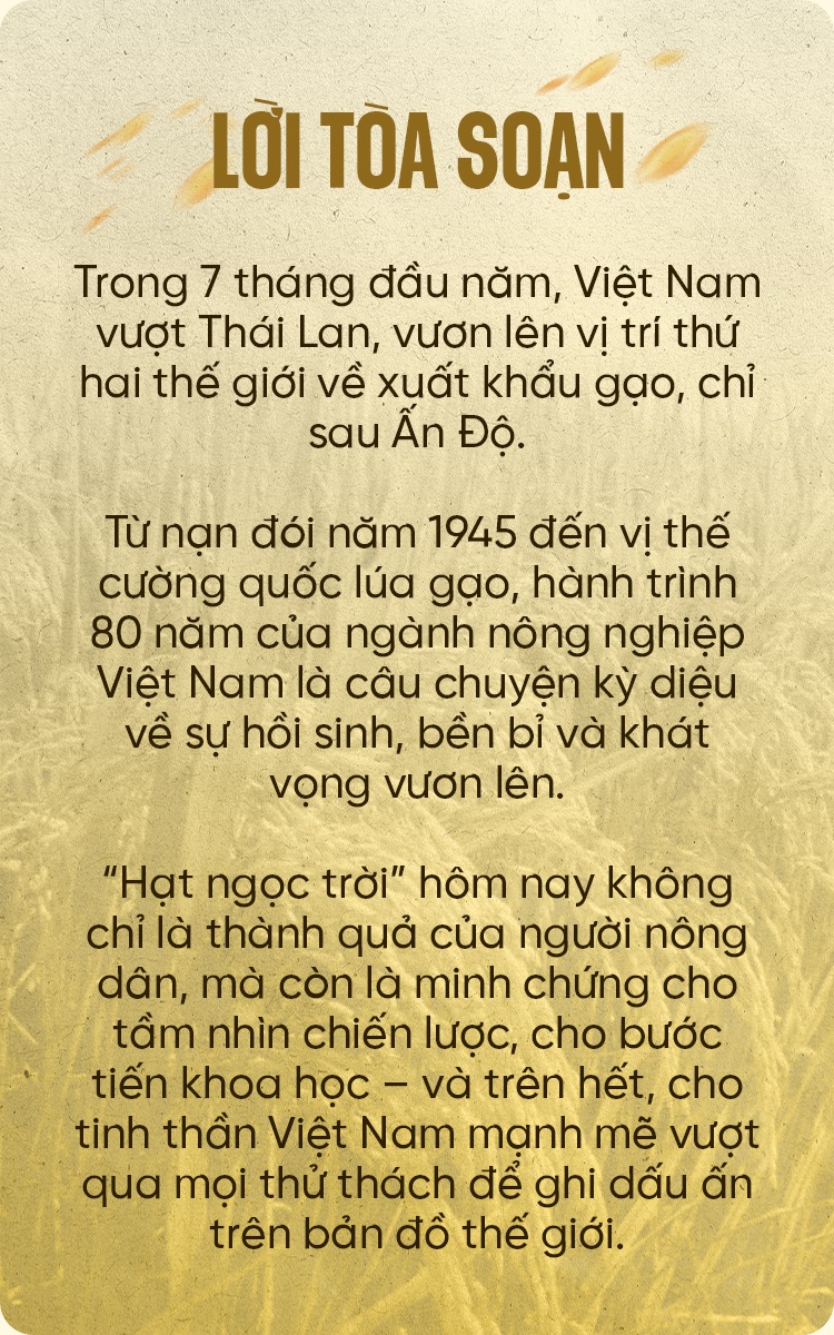 Gồng mình &amp;quot;tích cực độc hại&amp;quot;: Khi người trẻ thành đạt quỵ ngã sau bức màn hoàn hảo