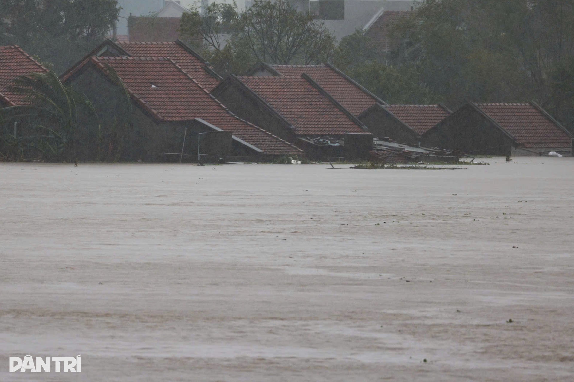 Những ánh mắt hoảng loạn trong dòng lũ vây vùng Phú Yên - 3