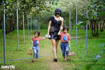 Bỏ nghề lái xe, đánh liều với 7.000m2 "đất chết", hút khách ngoài mong đợi