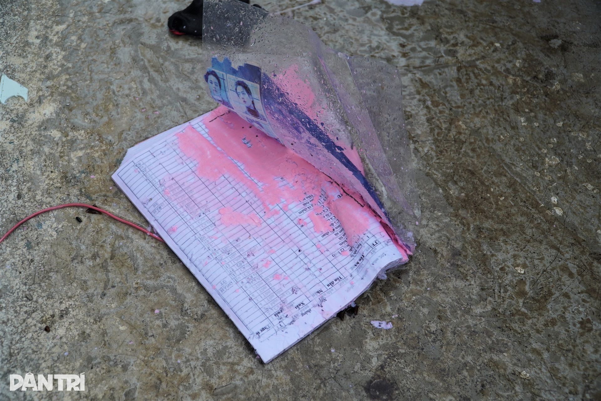 Chưa gượng dậy sau bão số 5, người dân tiếp tục chống đỡ bão Bualoi - 6 Chưa gượng dậy sau bão số 5, người dân tiếp tục chống đỡ bão Bualoi - 6