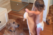 Dễ thương clip bé "đắp chăn" cho chó cưng