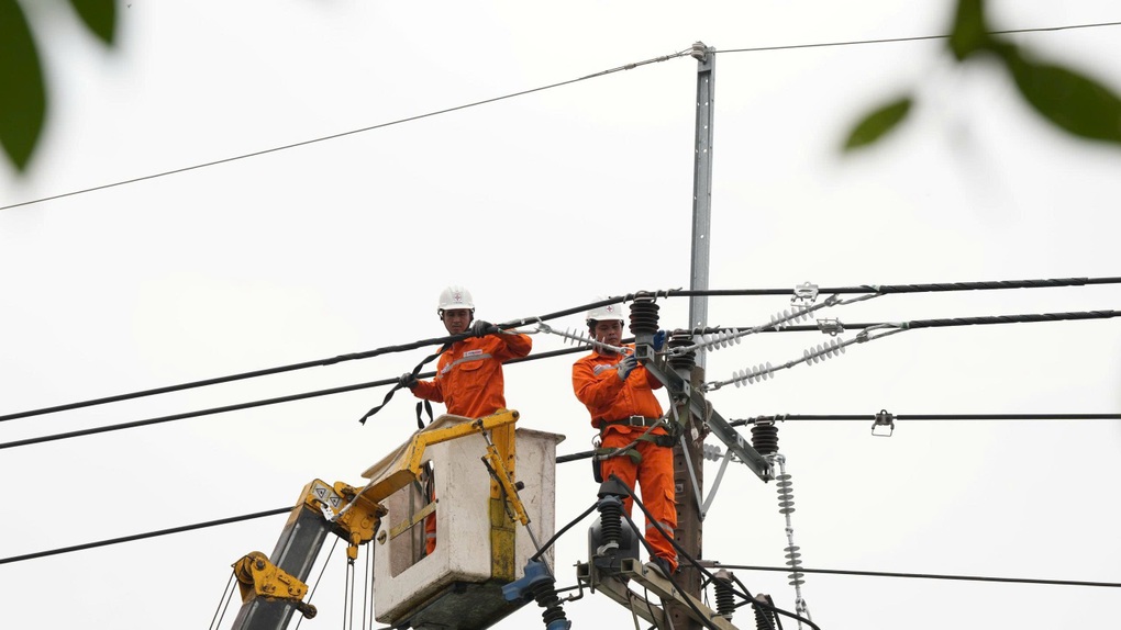 Điện lực TPHCM đảm bảo cung cấp điện an toàn, ổn định trong dịp Lễ Quốc khánh - 1