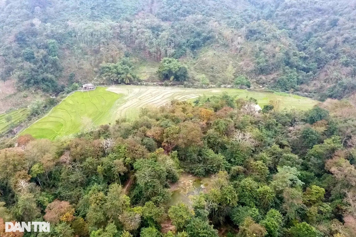 Già làng và câu chuyện bảo vệ báu vật nơi đại ngàn - 11 Già làng và câu chuyện bảo vệ báu vật nơi đại ngàn - 11