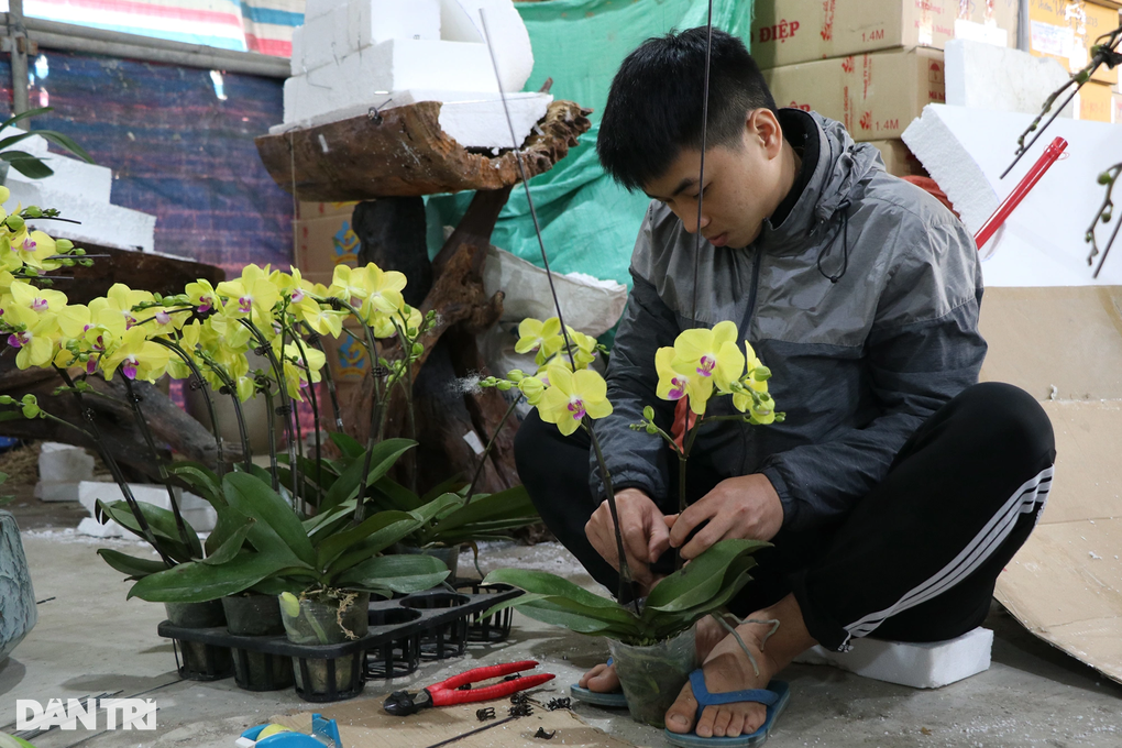 Đếm cành thu tiền, thợ cắm hoa lan kiếm 5-7 triệu đồng mỗi ngày - 3 Đếm cành thu tiền, thợ cắm hoa lan kiếm 5-7 triệu đồng mỗi ngày - 3