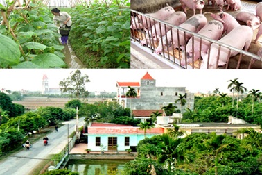 Thủ tướng “khai tử” nhiều chương trình, dự án xé lẻ nguồn lực đầu tư 