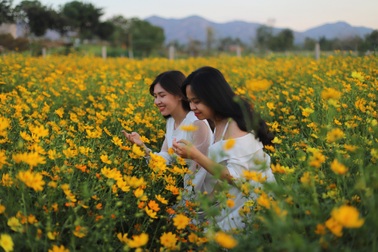 Lung linh sắc hoa bên dòng sông Đăk Bla