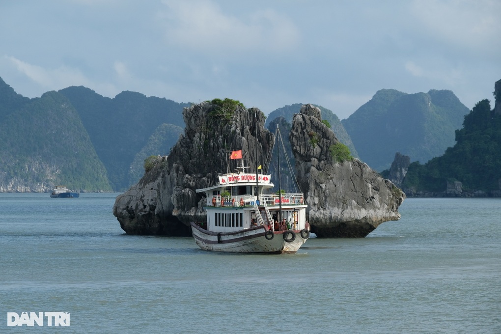 Du khách như mất tích khi ra vịnh Hạ Long vì không có sóng điện thoại - 1