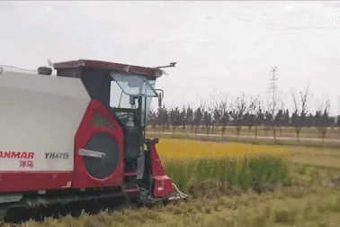 Tròn mắt với mô hình trồng lúa "không người", tự động hóa 100%