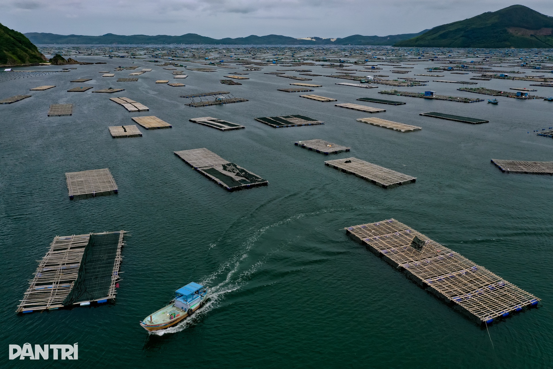 Ngư dân thủ phủ tôm hùm Việt Nam hối hả thu hoạch chạy bão Kalmaegi  - 3