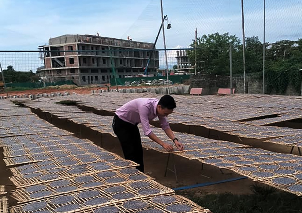 8X Nghệ An bỏ việc về quê tráng bánh đa kiếm trăm triệu đồng/tháng - 1 8X Nghệ An bỏ việc về quê tráng bánh đa kiếm trăm triệu đồng/tháng - 1
