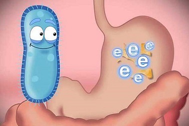 Lợi khuẩn có thể giúp cho người viêm đại tràng?