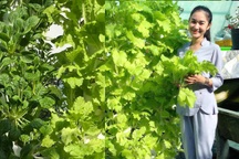 Nông dân 9X xinh đẹp sở hữu trại nấm và khu vườn trĩu quả "vạn người mê"