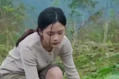 Gen Z Nghệ An sáng tạo loạt video về cuộc sống dân dã tại Việt Nam