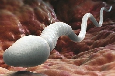 7 dấu hiệu hiển thị sức khỏe tinh dịch