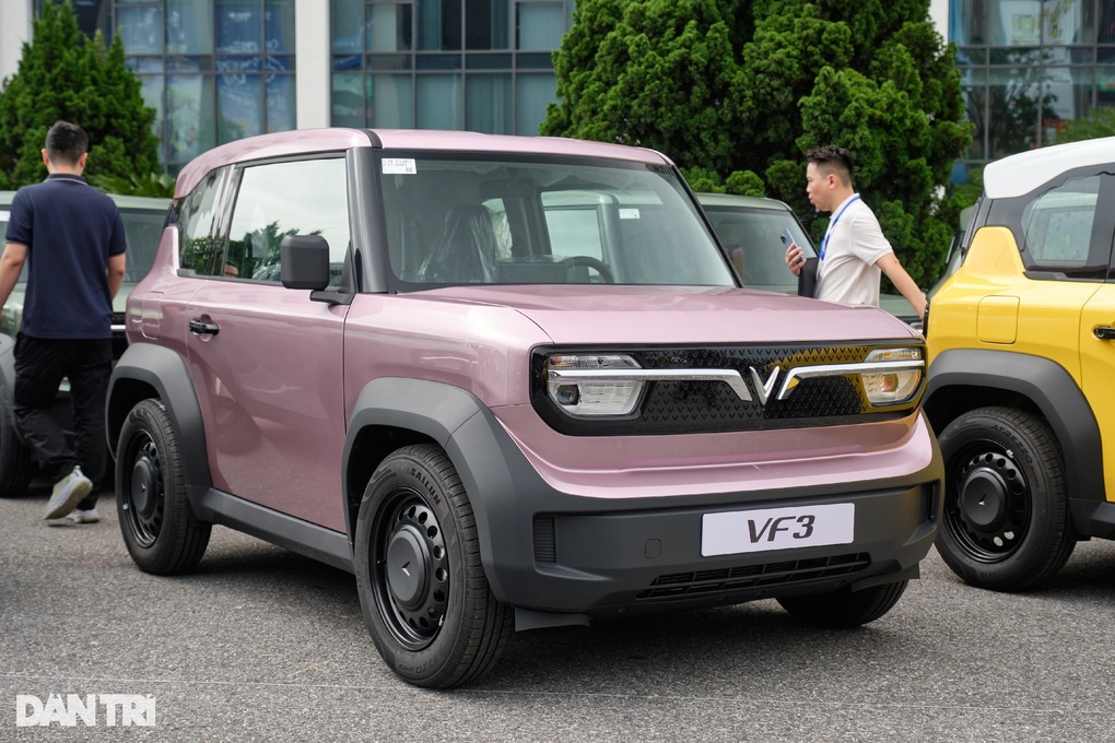 Khách Việt tăng mua ô tô điện, xe xăng giảm sức hút - 2