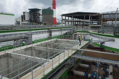 Yêu cầu tạm dừng làm nhà máy bột giấy Lee&Man Hậu Giang