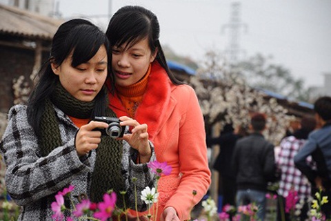 Nhật Tân: Vườn hoa "tăng tốc" cho teen thuê chụp ảnh Tết