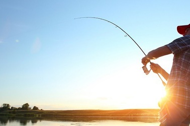 Khốn khổ vì chồng mê câu cá, bỏ bê vợ con