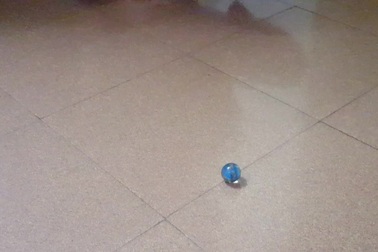 Hòn bi để ở nhà bếp chị Hà tự chạy bởi nhà nghiêng