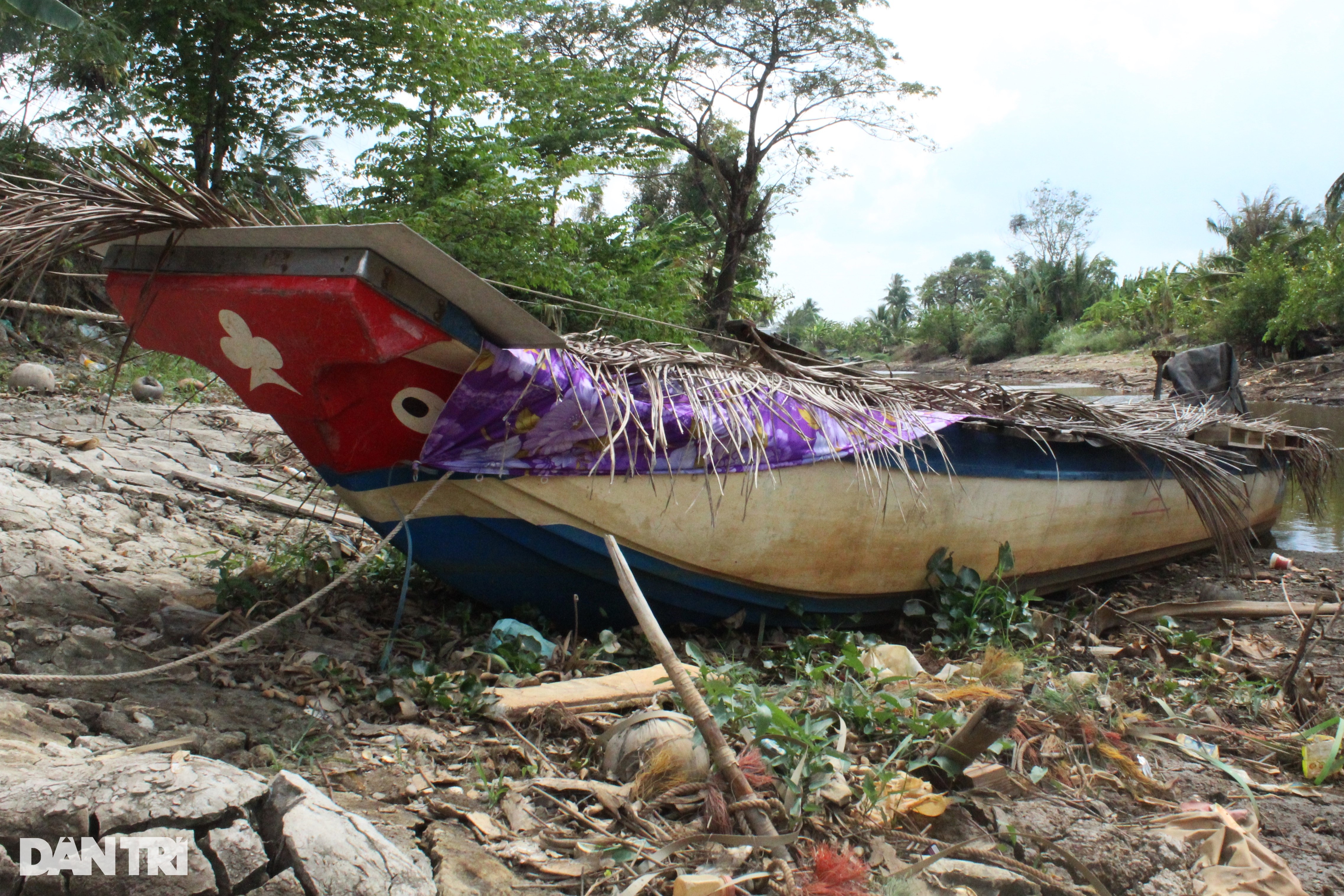 Khốc liệt hạn mặn: Đường sụt, lúa chết, thuyền dưới sông ngỡ đậu trên bờ - 10