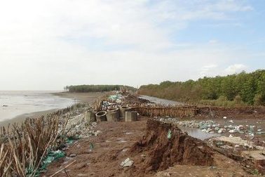 Để biển lại bị vỡ do triều cường