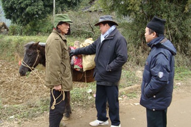 Rét đậm rét hại làm thiệt hại 130 tỉ đồng của ngành chăn nuôi 