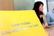Công ty bảo hiểm Nhật Bản chi hơn 5.000 tỷ đồng mua MVI Life tại Việt Nam