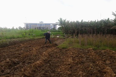 Quảng Ngãi: Kỷ luật nhiều cán bộ lãnh đạo sai phạm về đất đai